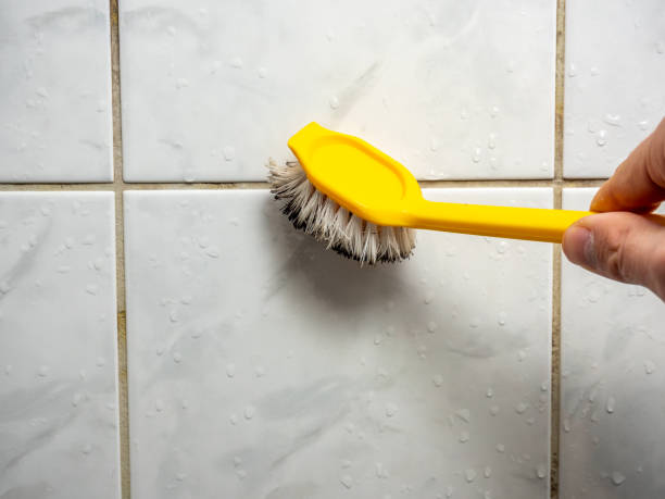 Best Affordable Mold Removal  in Mvell, AR