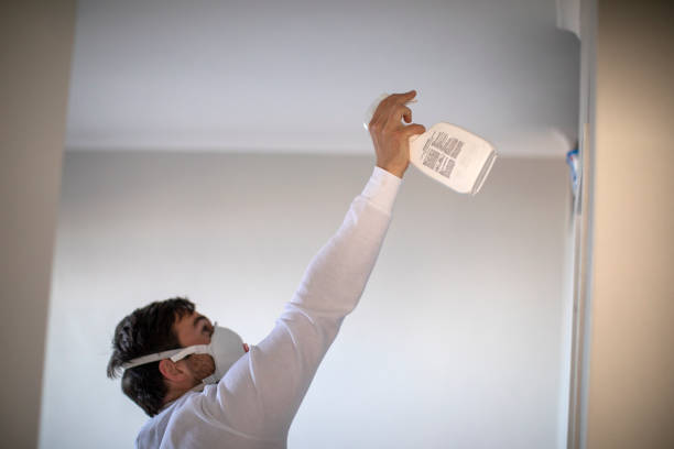 Best Professional Mold Removal  in Mvell, AR