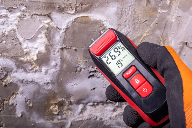 Best Commercial Mold Removal  in Mvell, AR