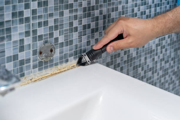 Best Mold Damage Repair  in Mvell, AR