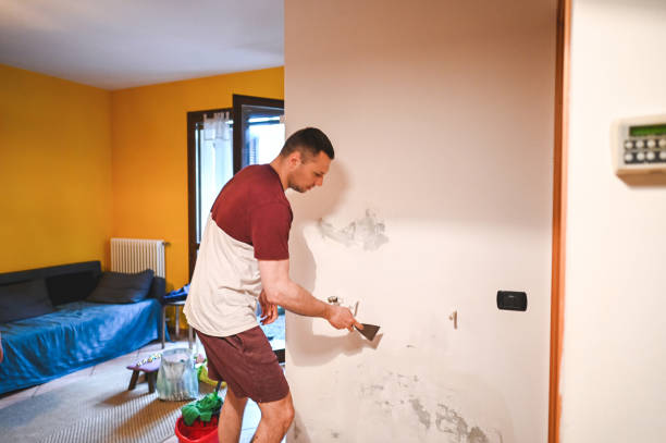 Best Mold Cleaning Services  in Mvell, AR